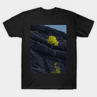 Black Rock Mountain - Landscape T-Shirt